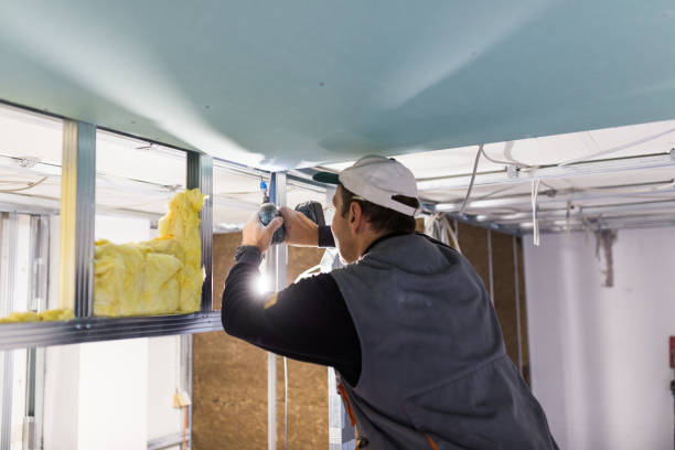 Best Insulation Replacement Services  in Menifee, CA